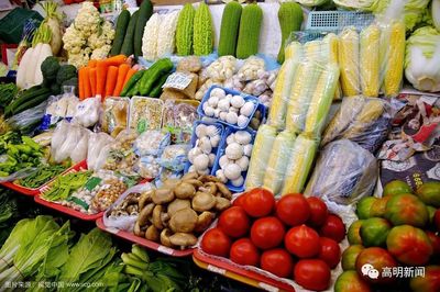 高明首座農(nóng)產(chǎn)品快檢室投用，織密餐桌安全防護(hù)網(wǎng)